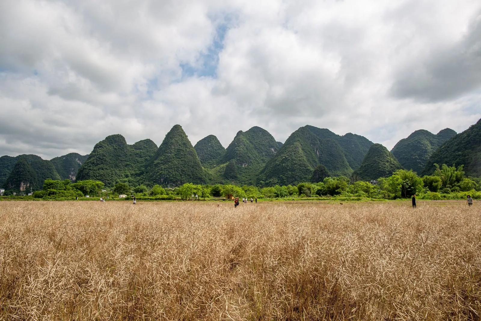 Yangshuo countryside with green fields and karst peaks