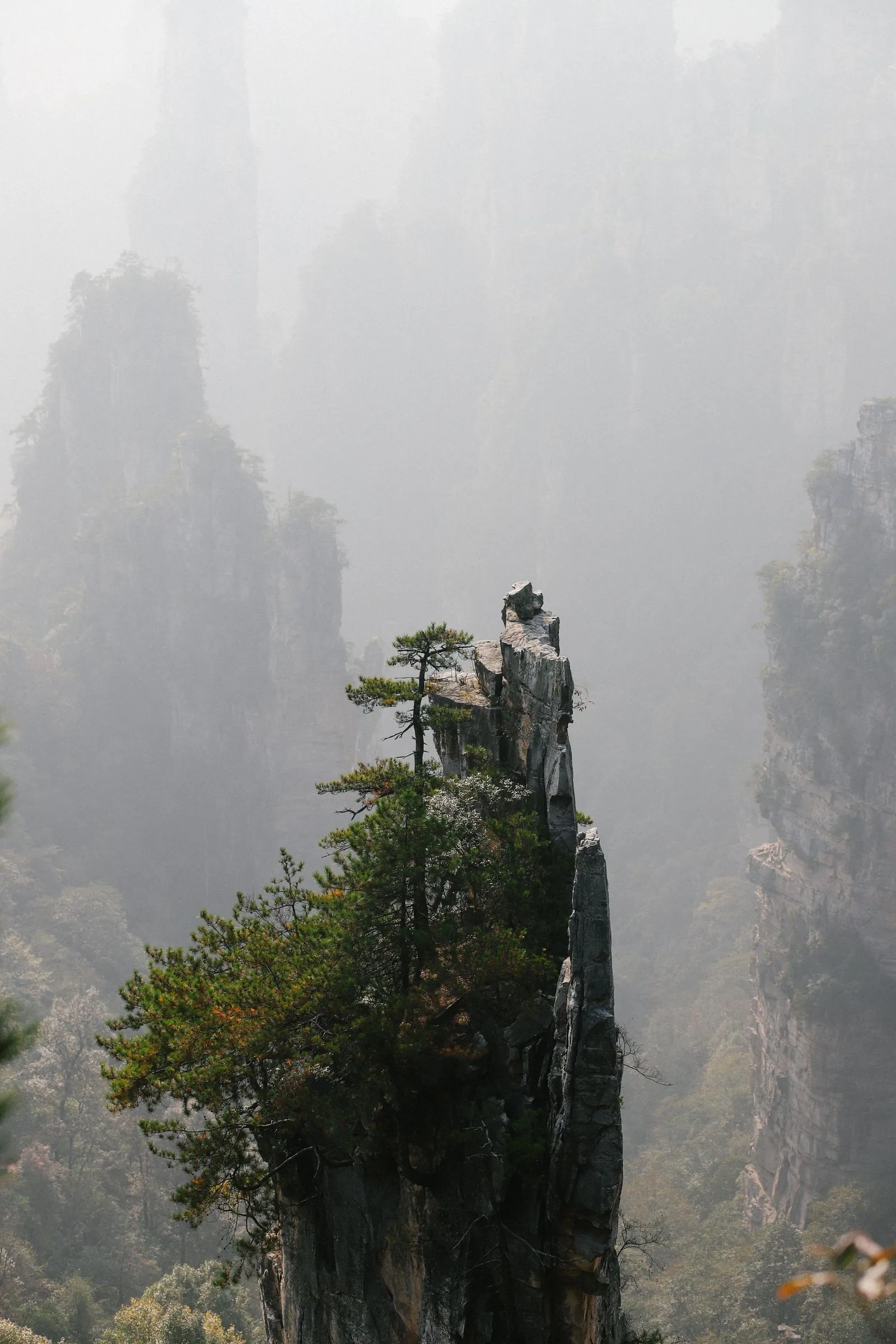 Zhangjiajie misty peaks tour