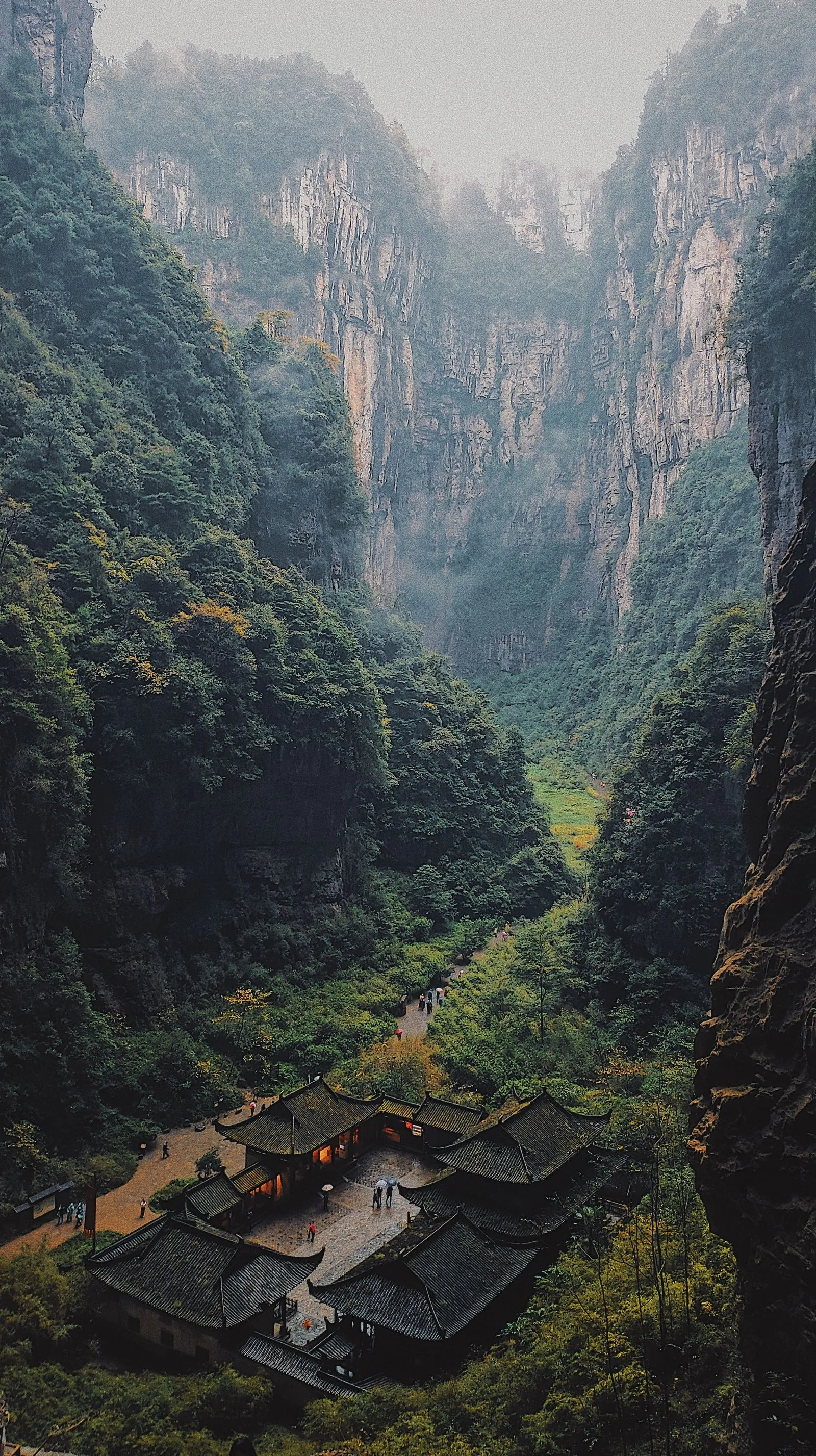Lush Wulong Karst landscape near Chongqing