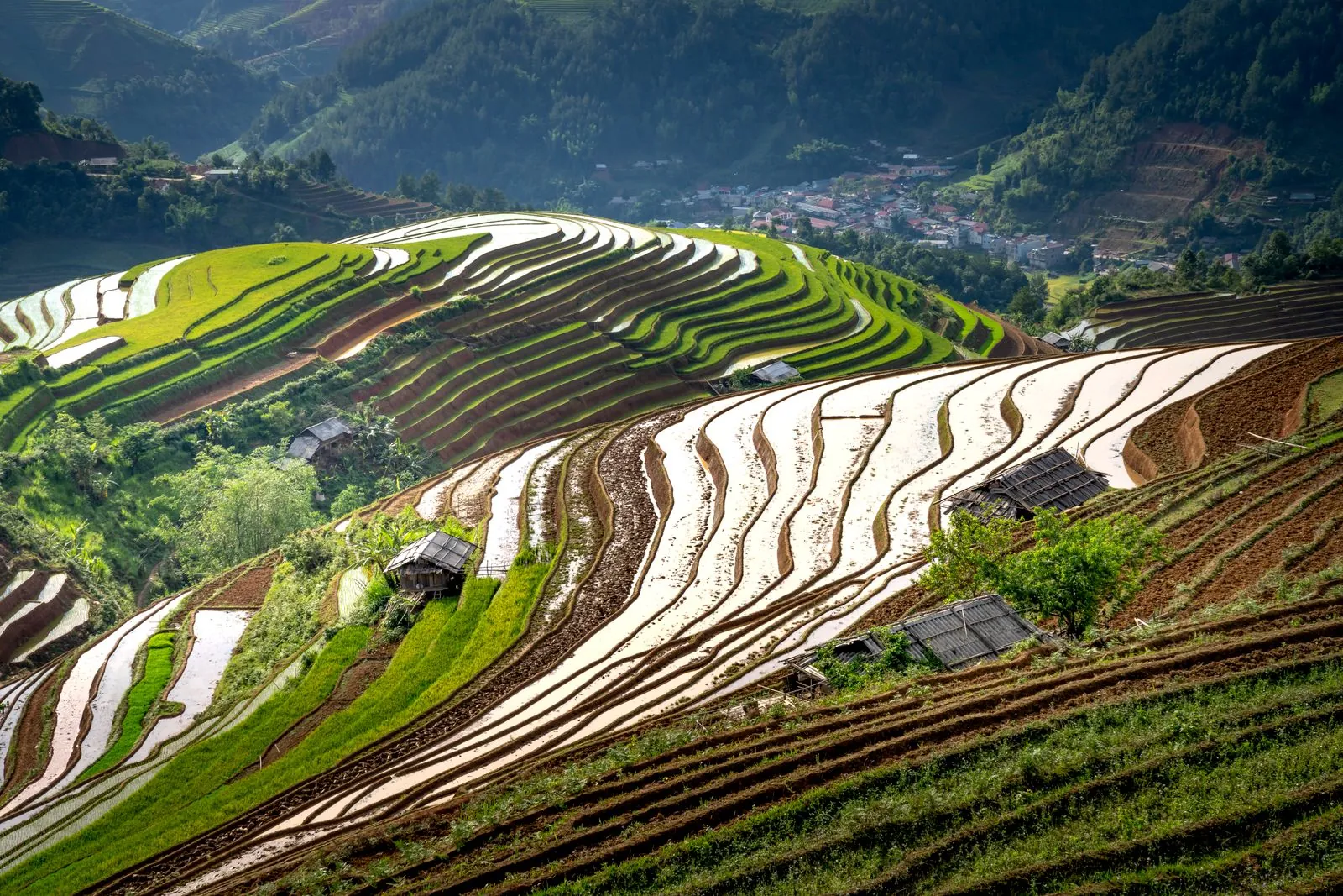 Longji Rice Terraces near Guilin in lush green season